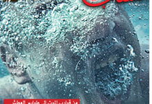صورة الأولى من العدد 1915 من جريدة الشعب ليوم الخميس 27 أوت 2026